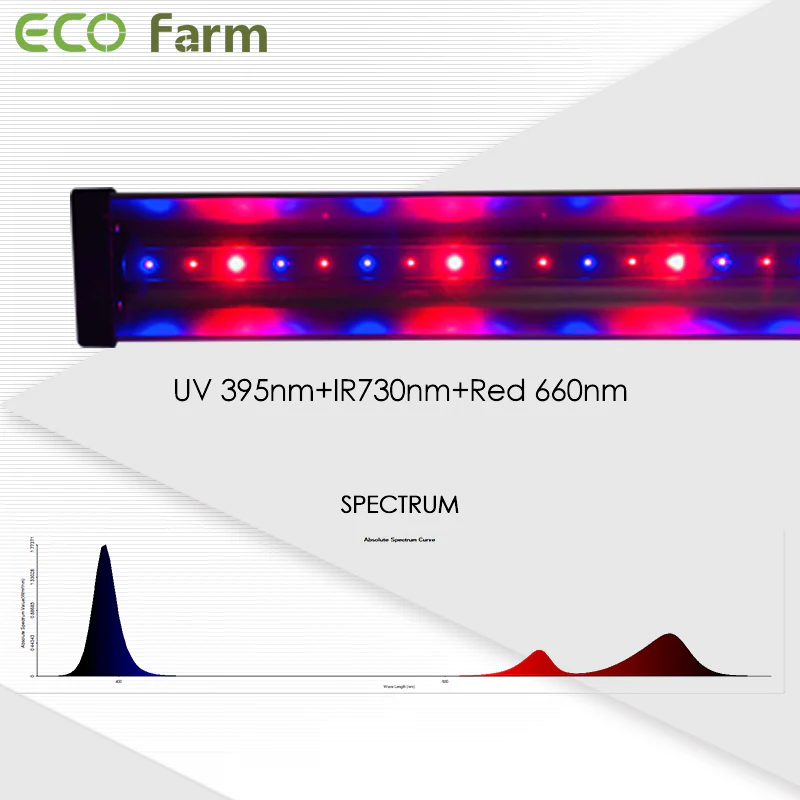 Best LED Grow Lights Under $100